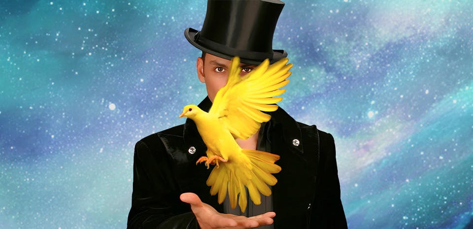 Allstars of Magic