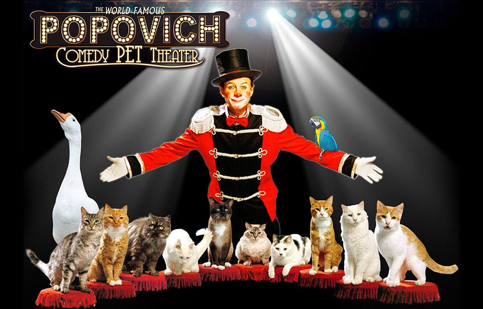 Gregory Popovich and his performing animals on stage at V Theater, Planet Hollywood Las Vegas